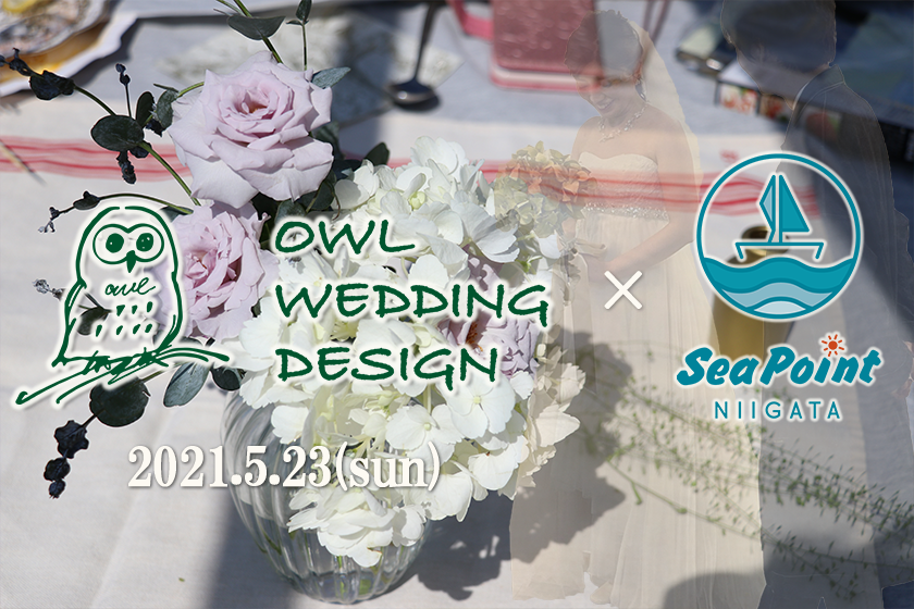 参列者募集 ビーチウェディングパーティー Owl Wedding Design Sea Point Niigata Sea Point Niigata シーポイント ニイガタ 新潟関屋浜の海水浴場 海の家